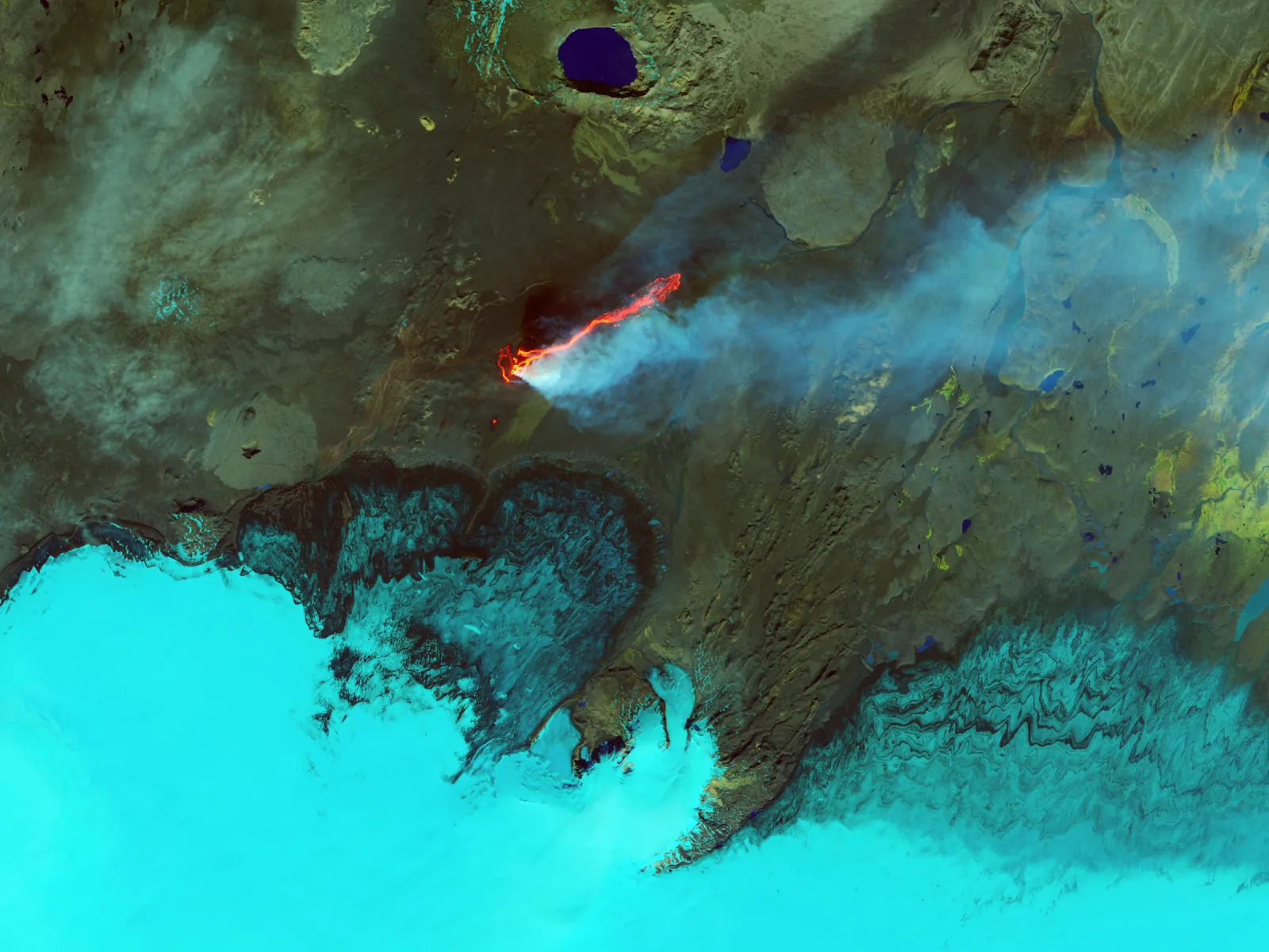 False-color Landsat 8 image of Iceland's Holuhraun lava field using shortwave infrared, near-infrared, and green bands